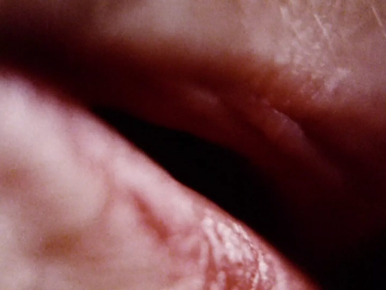 Davis10