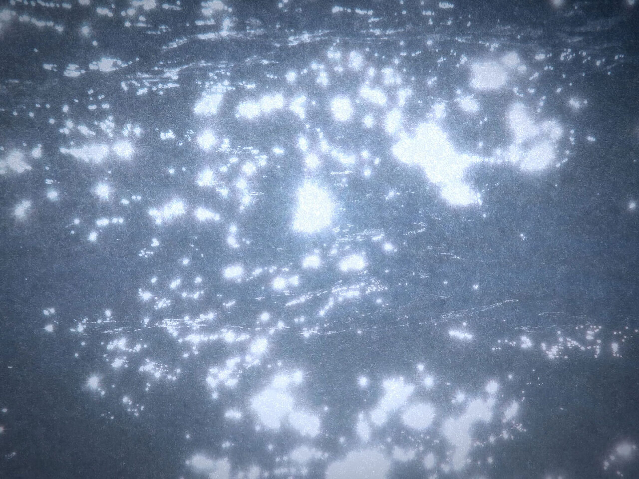 Microcosmos 1
