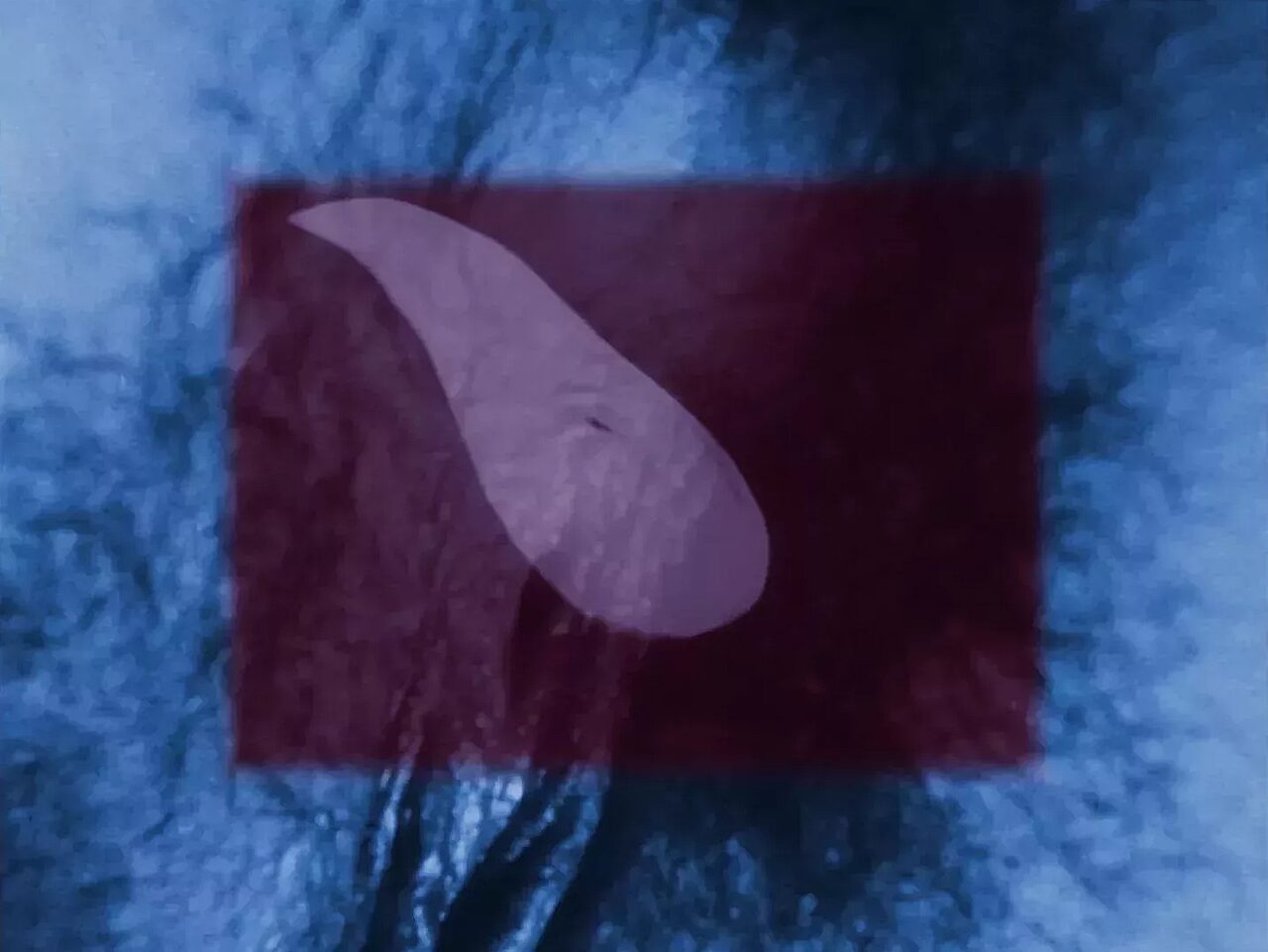 Rubin1