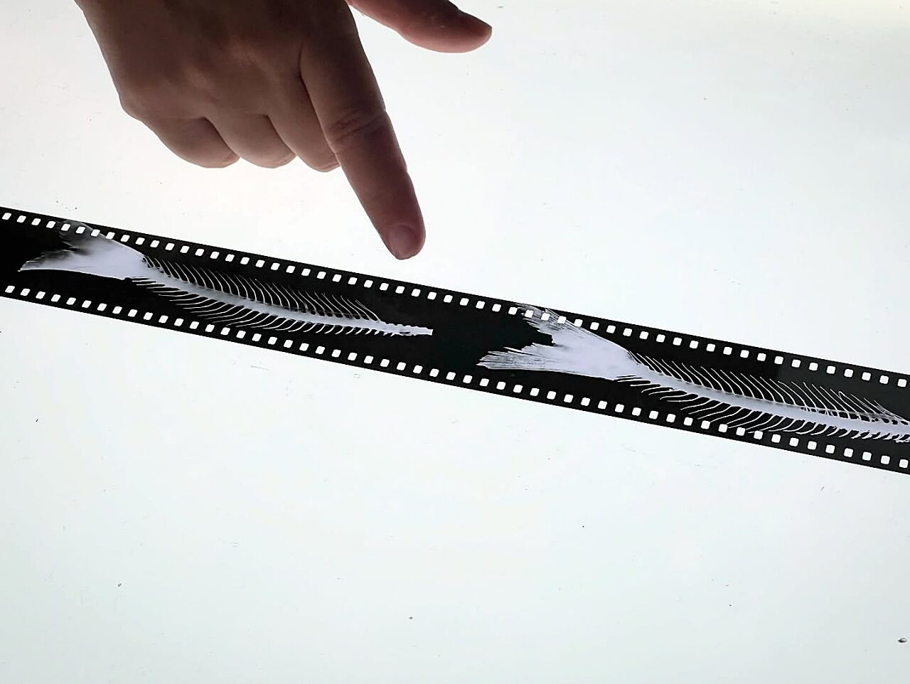 Snap Insta to 520266800 18510769594014832 8985697775321550379 n