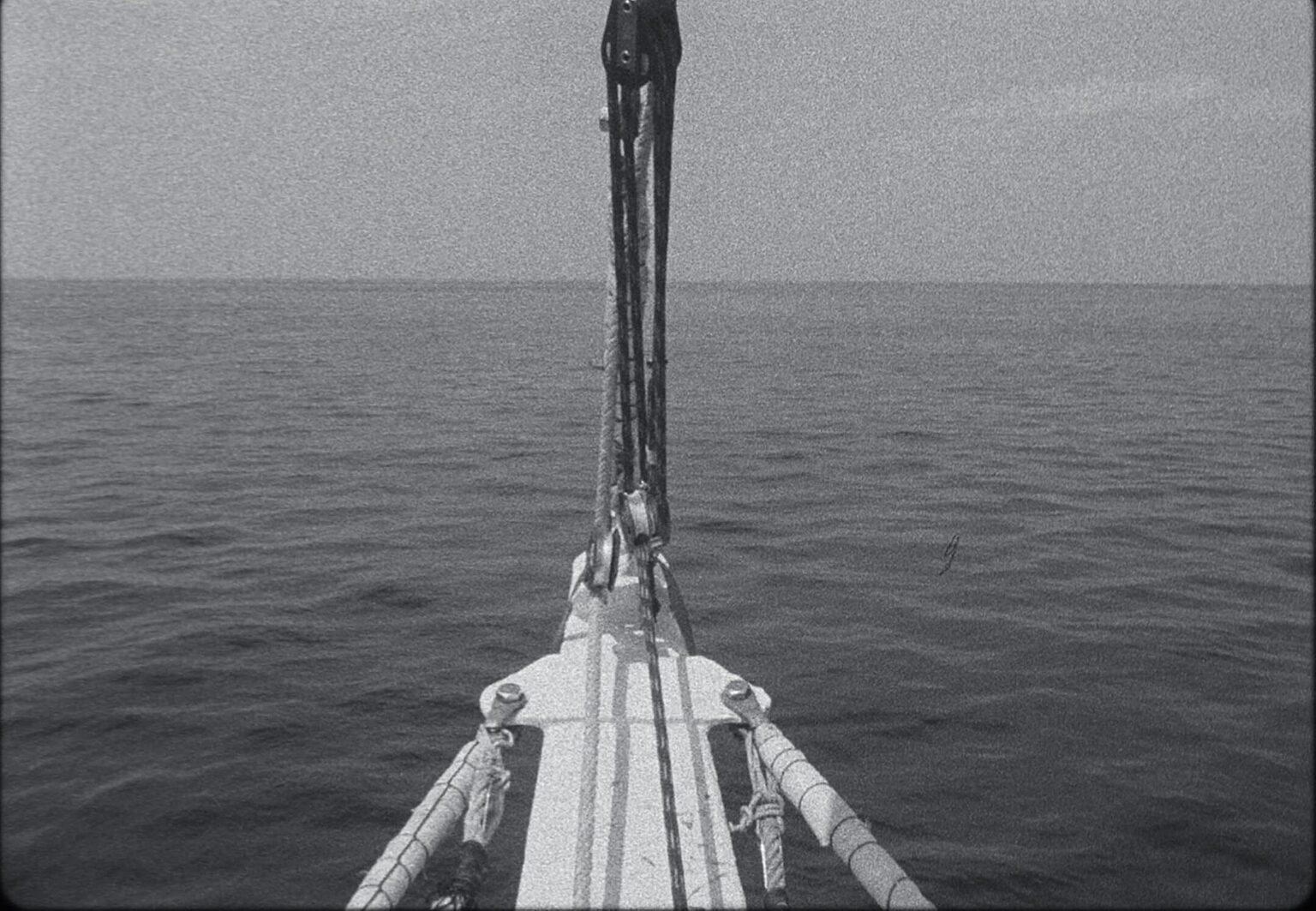 MV5 B Nz Qz YT Ax M Tgt Yz Fk MS00 MT Jj LW Ew ZW Ut Njg3 ZW Zk MW Vj Mz M5 Xk Ey Xk Fqc Gc V1 F Mjpg UX2160