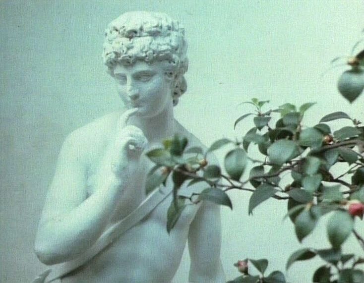 Dekoninklijkeserres 003